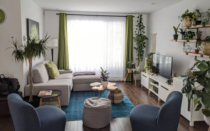 A white living room with an L shaped sofa, two blue chairs and. alot of plants