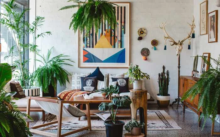 A living room full of colourful accessories and plants